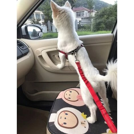 LONGZIMING Harnais Voiture Pour Chiens,2 PCS Ceinture De Sécurité Pour Chien Pour Voiture,réglable, Absorption Des Chocs, Bande Réfléchissante, Convient Pour Toutes Les Races De Chiens Et Types De Voitures 5 LONGZIMING Harnais Voiture Pour Chiens,2 PCS Ceinture De Sécurité Pour Chien Pour Voiture,réglable, Absorption Des Chocs, Bande Réfléchissante, Convient Pour Toutes Les Races De Chiens Et Types De Voitures – Image 5
