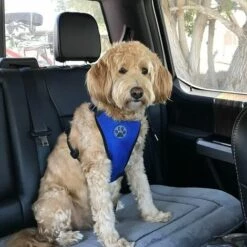 ABCRITAL Ceinture De Sécurité Pour Chien, Harnais De Voiture Pour Chien, Sangle De Connecteur De Véhicule De Voiture Résistante À L'Usure 2021 Pour Chiens Avec Gilet En Tissu À Double Maille Respirant 9 ABCRITAL Ceinture De Sécurité Pour Chien, Harnais De Voiture Pour Chien, Sangle De Connecteur De Véhicule De Voiture Résistante À L'Usure 2021 Pour Chiens Avec Gilet En Tissu À Double Maille Respirant -Cage, caisse et transport pour chien Soldes 58344602 5