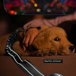 ABCRITAL Ceinture De Sécurité 3 En 1 Pour Chien - Ceinture De Sécurité Pour Chien - Ceinture De Sécurité Pour Animaux De Compagnie - Ceinture De Voiture Pour Animaux -Cage, caisse et transport pour chien Soldes 58344604 5