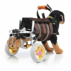 Thsinde Fauteuil Roulant Pour Animaux De Compagnie Pour Chien Handicapé Vieux Chien Chat Marche Assistée Voiture Réglable Léger Pattes Arrière Réhabilitation Chien Fauteuil Roulant-gris 7 Thsinde Fauteuil Roulant Pour Animaux De Compagnie Pour Chien Handicapé Vieux Chien Chat Marche Assistée Voiture Réglable Léger Pattes Arrière Réhabilitation Chien Fauteuil Roulant-gris -Cage, caisse et transport pour chien Soldes 58372088 3