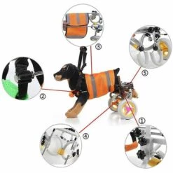 Thsinde Fauteuil Roulant Pour Animaux De Compagnie Pour Chien Handicapé Vieux Chien Chat Marche Assistée Voiture Réglable Léger Pattes Arrière Réhabilitation Chien Fauteuil Roulant-gris 8 Thsinde Fauteuil Roulant Pour Animaux De Compagnie Pour Chien Handicapé Vieux Chien Chat Marche Assistée Voiture Réglable Léger Pattes Arrière Réhabilitation Chien Fauteuil Roulant-gris -Cage, caisse et transport pour chien Soldes 58372088 4