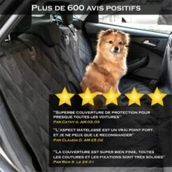 HIASDFLS Housse Protection Voiture Pour Chien - Protege Siege Voiture Chien Impermeable - Couverture Banquette Arrières Voitures, Tapis Voiture Chien -Cage, caisse et transport pour chien Soldes 59008412 3