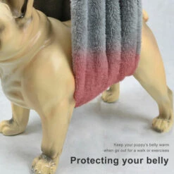 LUCKY-88 Assistant Chien Avec Toison De Corail Pour Aider Les Chiens âgés Handicapés Malades Et Faibles à Descendre Les Escaliers Et à Monter Dans La Voiture -Cage, caisse et transport pour chien Soldes 59928020 4