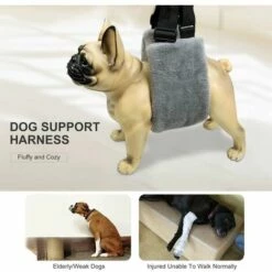 LUCKY-88 Assistant Chien Avec Toison De Corail Pour Aider Les Chiens âgés Handicapés Malades Et Faibles à Descendre Les Escaliers Et à Monter Dans La Voiture -Cage, caisse et transport pour chien Soldes 59928020 5