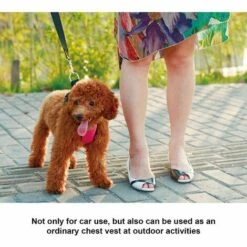 LIFCAUSAL Gilet De Sécurité Pour Véhicule Pour Animaux De Compagnie, Réglable En Maille Souple Rembourrée, Laisse De Ceinture En S Avec Ceinture De Voyage Et Mousqueton Pour La Plupart Des C-ars -Cage, caisse et transport pour chien Soldes 60062307 5