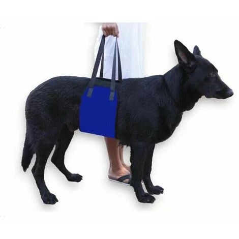 LITZEE Ceinture De Transport Pour Animaux De Compagnie Ceinture De Transport Pour Chien Ceinture D'assistance Pour Animaux De Compagnie Ceinture De Protection Pour Animaux De Compagnie Ceinture De Protection Pour Chien Produits Pour Animaux De Compagnie S 1 LITZEE Ceinture De Transport Pour Animaux De Compagnie Ceinture De Transport Pour Chien Ceinture D'assistance Pour Animaux De Compagnie Ceinture De Protection Pour Animaux De Compagnie Ceinture De Protection Pour Chien Produits Pour Animaux De Compagnie S