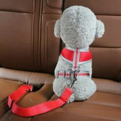 CHANCEY Voiture Ceinture De Securite Pour Chien Indéchirable Réglable, 2 Pcs Harnais Voiture Chien Voiture Universel, Ceinture Chien Voiture, Durable Réglable 50cm-75cm Pour Tous Les Chiens Et Chats -Cage, caisse et transport pour chien Soldes 63636119 5