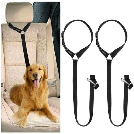 CARILLONSàVENT Harnais Voiture Pour Chiens Lot De 2 Une Sangle Réglable Ceinture Et Harnais Ceinture Chien Parfaits Pour Voitures Auto Laisse Ceinture Chat Animaux Nylon 46 To 79 Cm Carivent 1 CARILLONSàVENT Harnais Voiture Pour Chiens Lot De 2 Une Sangle Réglable Ceinture Et Harnais Ceinture Chien Parfaits Pour Voitures Auto Laisse Ceinture Chat Animaux Nylon 46 To 79 Cm Carivent