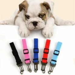 FUIENKO Harnais Réglable Pour Animal De Compagnie, Ceinture De Siège De Voiture, Accessoire Pour Animal De Compagnie, Chien, Chat, Laisse En Plomb, Petit, Moyen, Clip De Voyage, Bouledogue Fran?ais,green 8 FUIENKO Harnais Réglable Pour Animal De Compagnie, Ceinture De Siège De Voiture, Accessoire Pour Animal De Compagnie, Chien, Chat, Laisse En Plomb, Petit, Moyen, Clip De Voyage, Bouledogue Fran?ais,green -Cage, caisse et transport pour chien Soldes 65437141 4