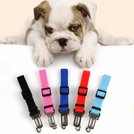 FUIENKO Harnais Réglable Pour Animal De Compagnie, Ceinture De Siège De Voiture, Accessoire Pour Animal De Compagnie, Chien, Chat, Laisse En Plomb, Petit, Moyen, Clip De Voyage, Bouledogue Fran?ais,green 4 FUIENKO Harnais Réglable Pour Animal De Compagnie, Ceinture De Siège De Voiture, Accessoire Pour Animal De Compagnie, Chien, Chat, Laisse En Plomb, Petit, Moyen, Clip De Voyage, Bouledogue Fran?ais,green – Image 4