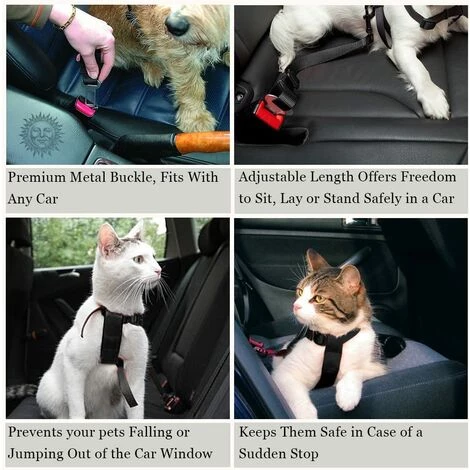 OSQI 2 Et Sécurisé Réglable Pour Chien Et Chat Ceintures De Sécurité (49.8 Cm à 80 Cm) Par 3 OSQI 2 Et Sécurisé Réglable Pour Chien Et Chat Ceintures De Sécurité (49.8 Cm à 80 Cm) Par – Image 3