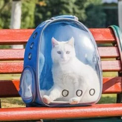 OSQI Sac à Dos Pour Chat : Sacs De Transport Pour Lapin Petit Chien Transporteur Pour Animaux De Compagnie Transparent Bulle Capsule Chaton Voyage Chiot Petit Transporteur Hamster Chat Sac De Transport Chihuahua Sac à Dos Portable Bleu 8 OSQI Sac à Dos Pour Chat : Sacs De Transport Pour Lapin Petit Chien Transporteur Pour Animaux De Compagnie Transparent Bulle Capsule Chaton Voyage Chiot Petit Transporteur Hamster Chat Sac De Transport Chihuahua Sac à Dos Portable Bleu -Cage, caisse et transport pour chien Soldes 65505511 4