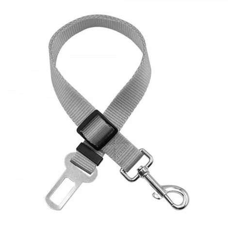 JARDIBRICODECO Laisse De Voiture Zw4b Pour Un Chien Gris 1 JARDIBRICODECO Laisse De Voiture Zw4b Pour Un Chien Gris