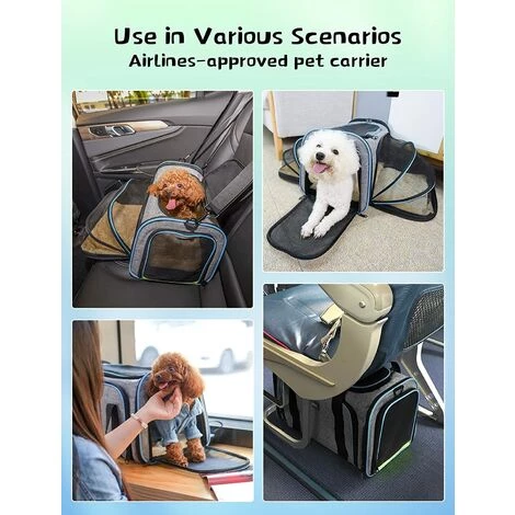 YIENJAOY Sac De Transport Pliable Pour Chien - Sac De Transport Pour Chat - Sac De Transport Portable - Sac De Transport Pour Chien - Approuvé Par Le Système Airline - Sac De Transport Pratique 3 YIENJAOY Sac De Transport Pliable Pour Chien - Sac De Transport Pour Chat - Sac De Transport Portable - Sac De Transport Pour Chien - Approuvé Par Le Système Airline - Sac De Transport Pratique – Image 3