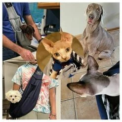 PREMIER Sac De Transport Pour Chien Et Chat - Mains Libres - Réglable - Convient Pour Les Chiots, Petits Chiens Et Chats Pour Les Voyages En Plein Air -Cage, caisse et transport pour chien Soldes 66119861 5