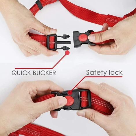 HABIENTôT Voiture Ceinture De Securite Pour Chien,Oi-FRIS 2pcs Réglable Ceinture De Sécurité Pour Appuie-tête De Voiture Pour Animaux De Compagnie Avec Elastique Et Bande Réfléchissante, Pour Chiens Et Chats 4 HABIENTôT Voiture Ceinture De Securite Pour Chien,Oi-FRIS 2pcs Réglable Ceinture De Sécurité Pour Appuie-tête De Voiture Pour Animaux De Compagnie Avec Elastique Et Bande Réfléchissante, Pour Chiens Et Chats – Image 4