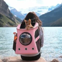 WIAN Grand Chat Sac à Dos Animal De Compagnie Chat Sac à Dos Chat Espace Portable Sortir Sac Chien Voyage Sac De Transport -Cage, caisse et transport pour chien Soldes 67647279 3