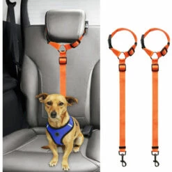 YIDOMDE Corde De SšŠcuritšŠ Pour Voiture Pour Animaux De Compagnie, Ceinture De SšŠcuritšŠ Pour Chien š€ Anneau, Corde De Traction Pour Siššge Arriššre 2pcs Orange