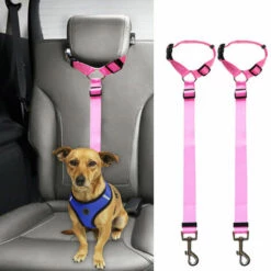 YIDOMDE Corde De SšŠcuritšŠ Pour Voiture Pour Animaux De Compagnie, Ceinture De SšŠcuritšŠ Pour Chien š€ Anneau, Corde De Traction Pour Siššge Arriššre 2pcs Orange 8 YIDOMDE Corde De SšŠcuritšŠ Pour Voiture Pour Animaux De Compagnie, Ceinture De SšŠcuritšŠ Pour Chien š€ Anneau, Corde De Traction Pour Siššge Arriššre 2pcs Orange -Cage, caisse et transport pour chien Soldes 68068847 4