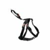 FLAMINGO Harnais De Securitã‰ Voiture Duma XS Noir 25-40cm