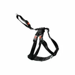 FLAMINGO Harnais De Securitã‰ Voiture Duma XS Noir 25-40cm